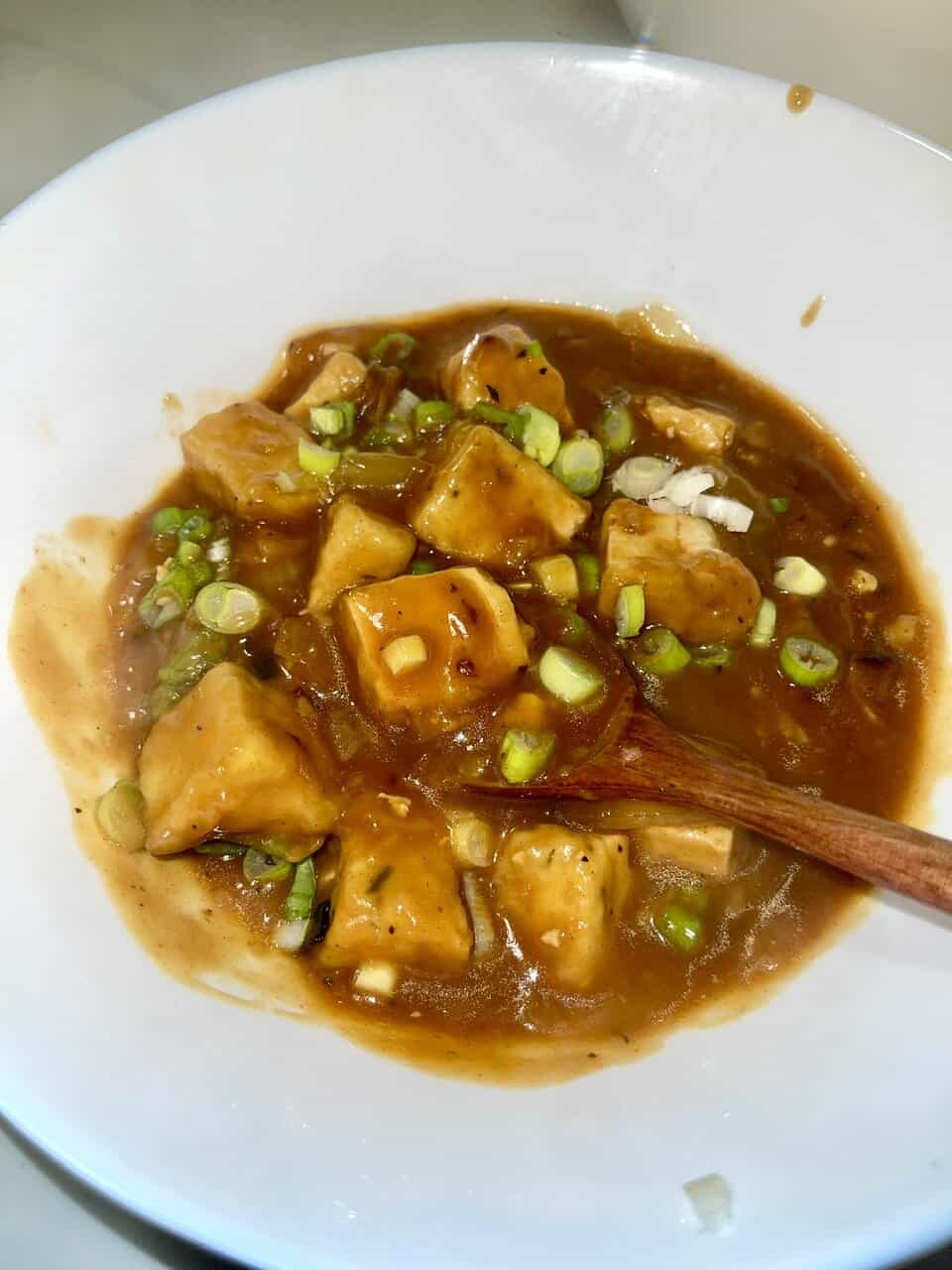 Savory tofu and scallions in rich brown sauce, delicious plant-based dish for healthy eating.