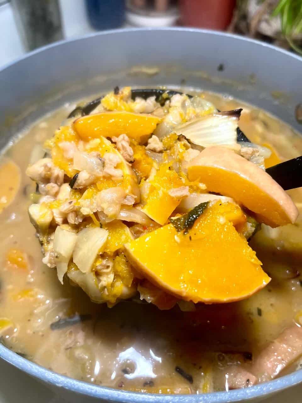 Butternut squash and chicken soup with vegetables in a pot, healthy homemade soup, nutritious comfort food, fall vegetable soup, Make Pure Thy Heart recipe.