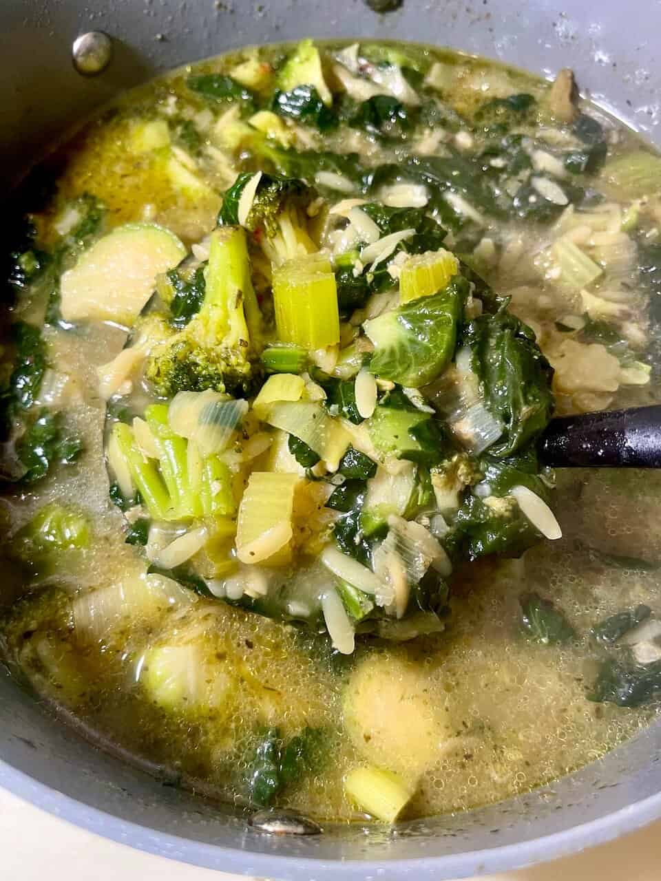 Steamed vegetable soup with broccoli, zucchini, and leeks in a clear broth.