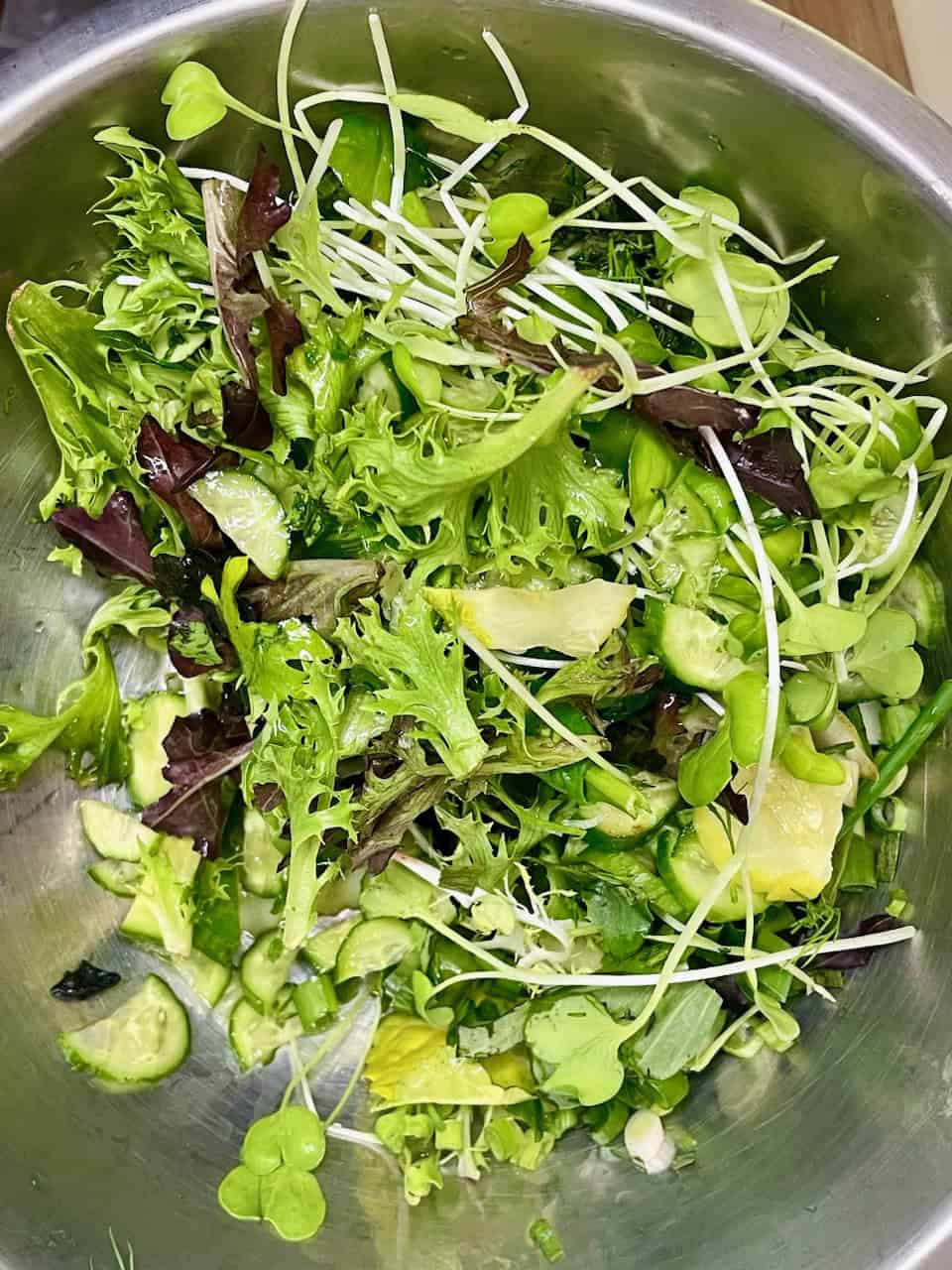 Fresh mixed organic salad greens with cucumbers and sprouts in a stainless steel bowl.