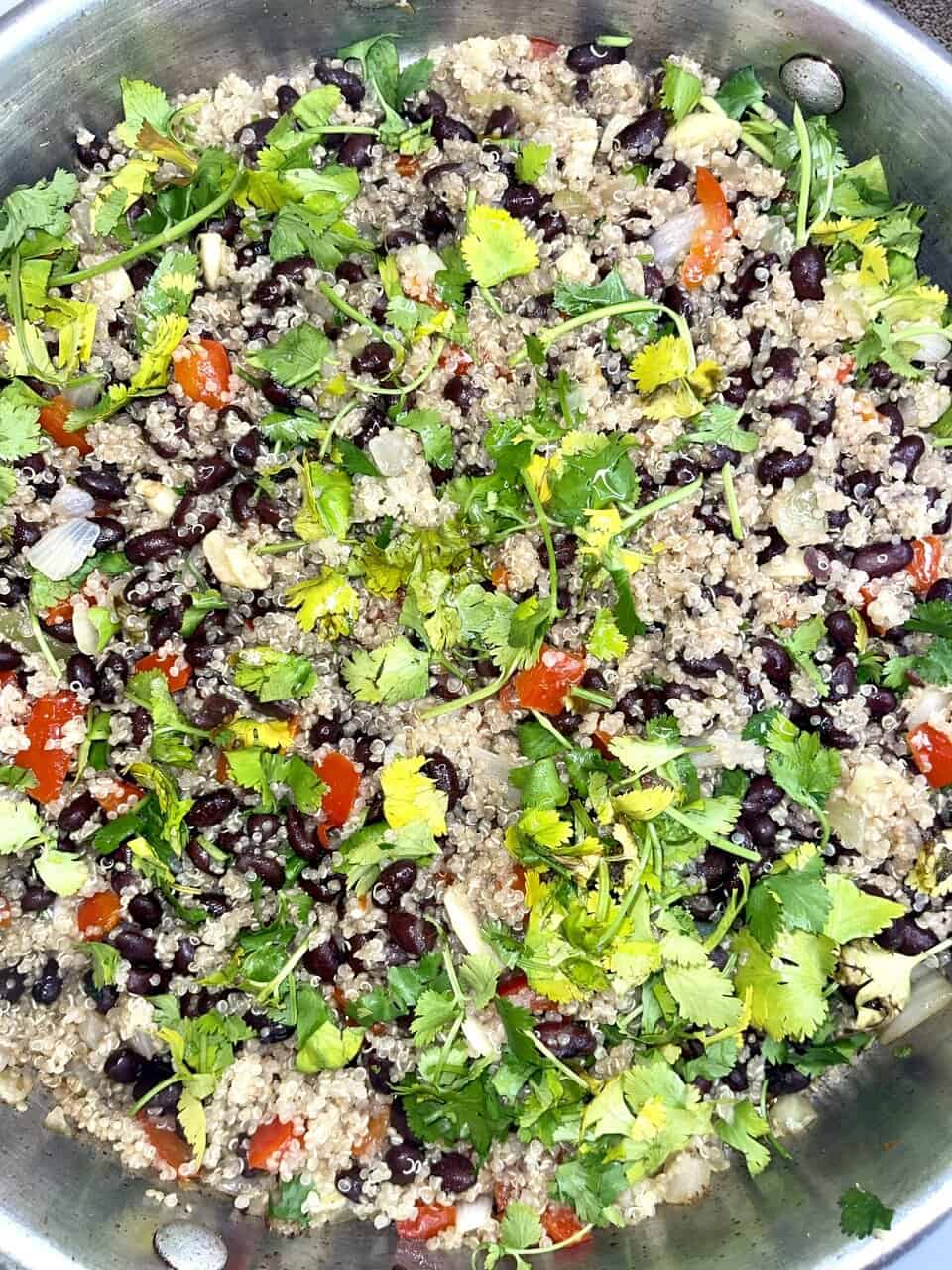 Fresh quinoa salad with black beans, tomatoes, onions, and cilantro, healthy vegetarian meal for balanced diet.