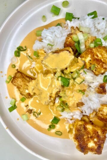 Savory chicken and rice dish with creamy curry sauce, garnished with green onions.