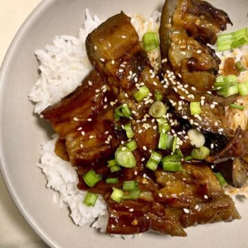 Vegan eggplant unagi served over rice with green onions and sesame seeds.
