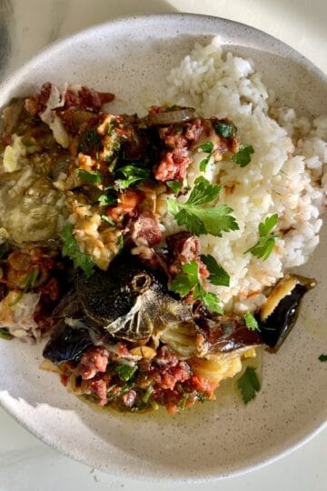 Turkish stuffed eggplant with tomatoes, onions, and herbs served with rice.