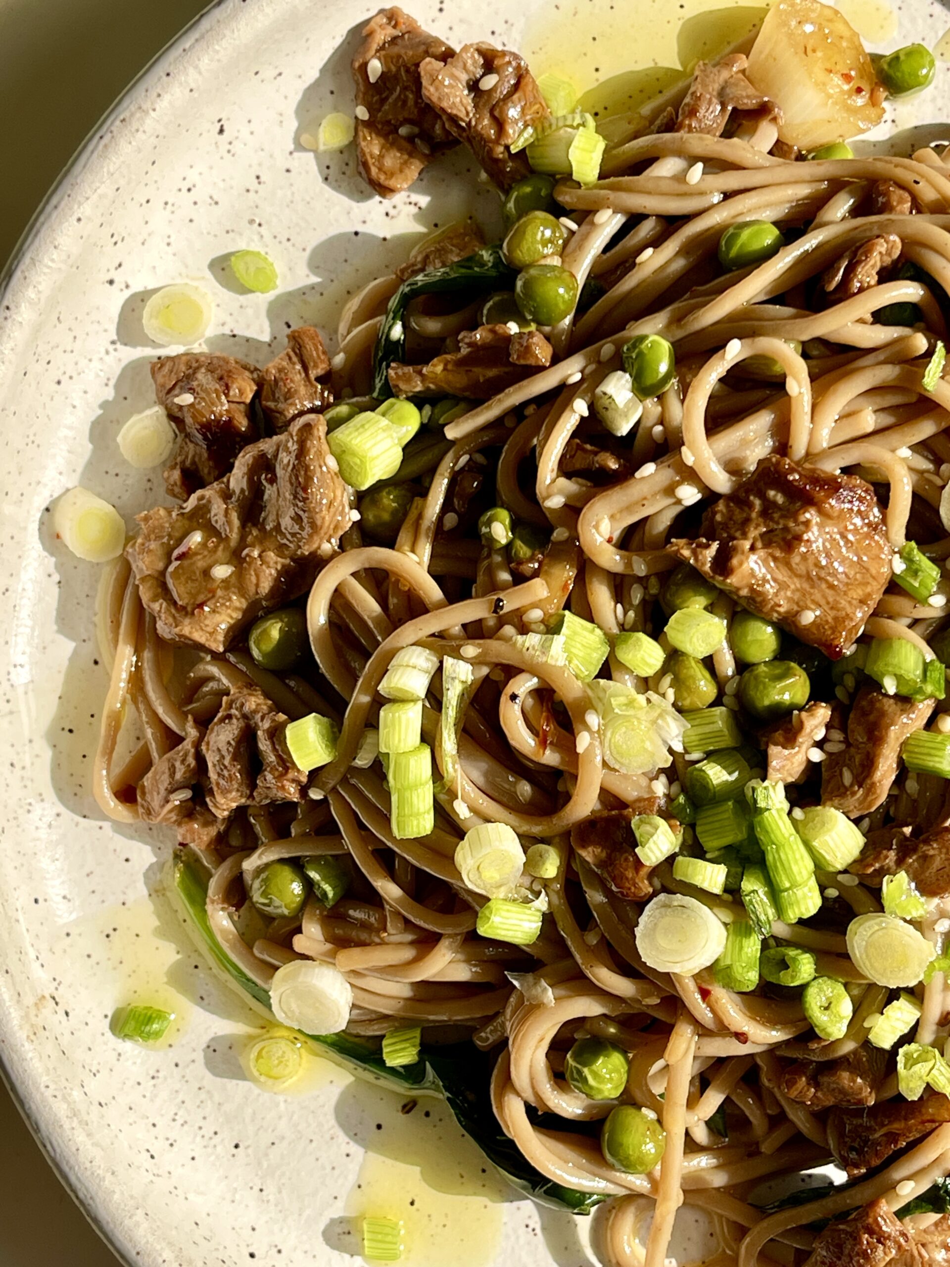 Vegan stir-fry with soba noodles, green onions, and vegetables on a plate.