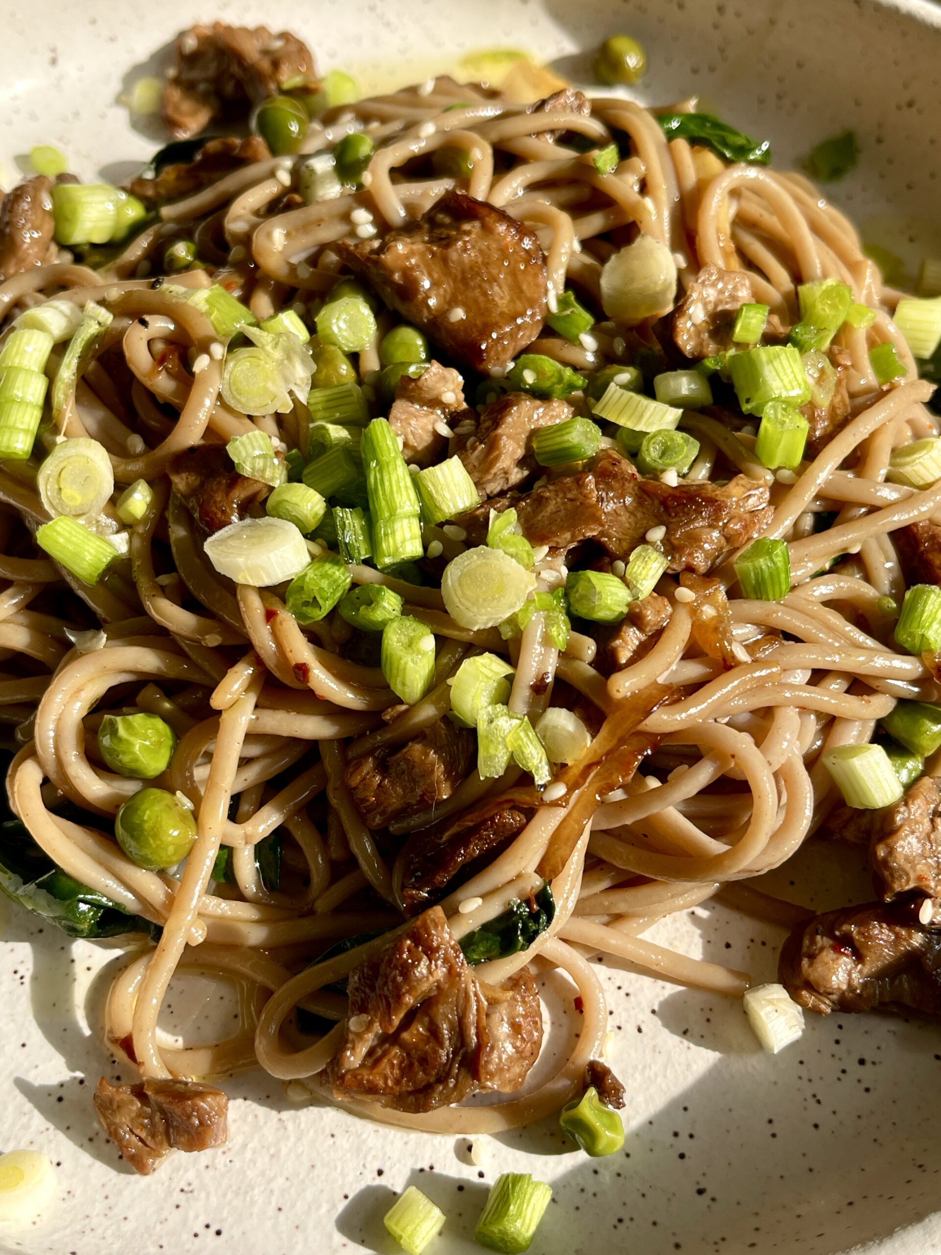 Delicious vegan soba noodle stir-fry with green onions and tofu.